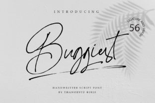 Buggiest: A Script Amp Review