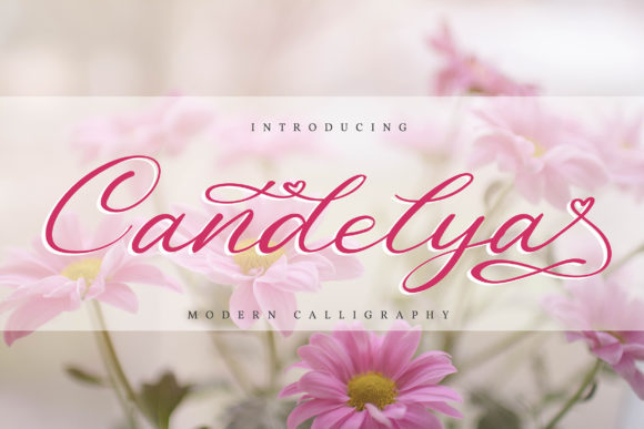 Candelya: A Delicate Handwritten Font