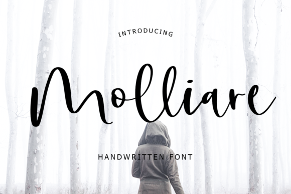 Molliare: A Elegant Script Font