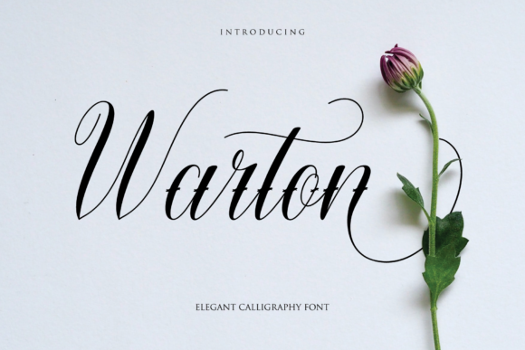 Warton: A Handwritten Font for Elegant Design
